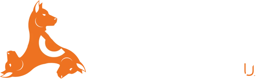 You IT
